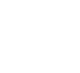 The Faceless Program